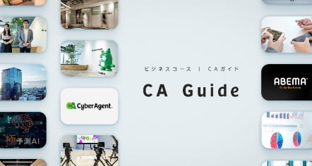 CA Guide