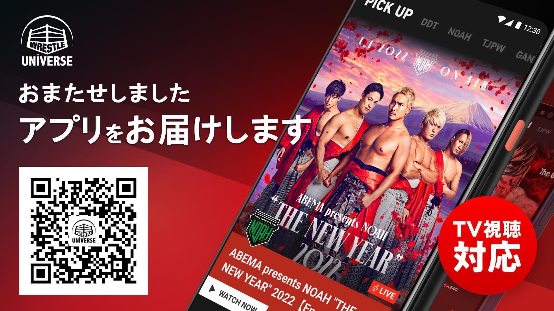 DDT プロレス　パンフレット　31冊　まとめ売り DDT プロレス パンフレット 31冊 まとめ売り - メルカリ